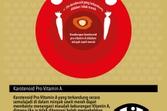 Infographics BM7