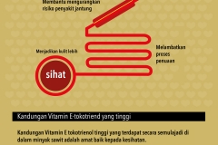 Infographics BM8