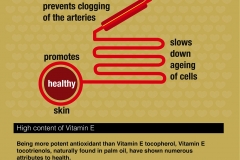 Slide8